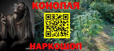 стаф Пугачёв