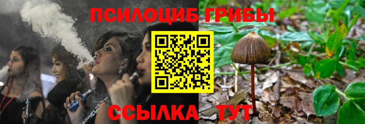 Галлюциногенные грибы MAGIC MUSHROOMS  Вход с VPN  Реутов 